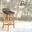 ฺBar stool-เก้าอี้ บาร์