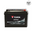 แบตเตอรี่รถยนต์ YUASA 75D31L-SMF