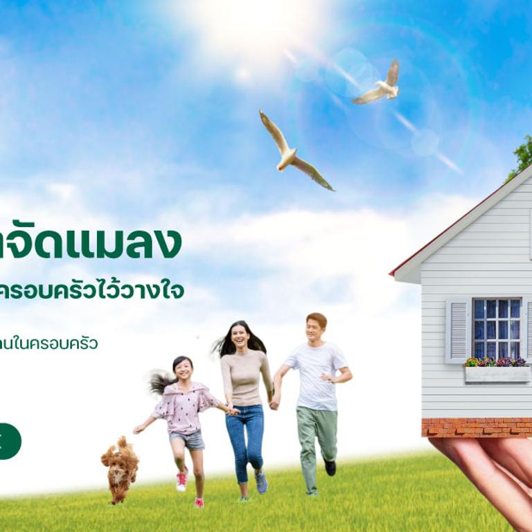 Insect extermination service with natural extracts