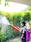 บริการป้องกัน-กำจัดยุง