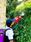 บริการป้องกัน-กำจัดยุง